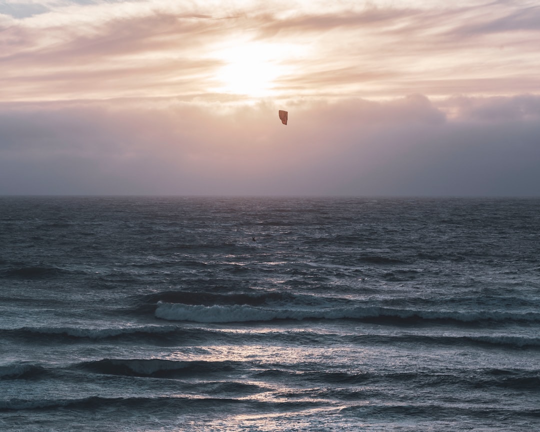 bird flying over the sea during sunset