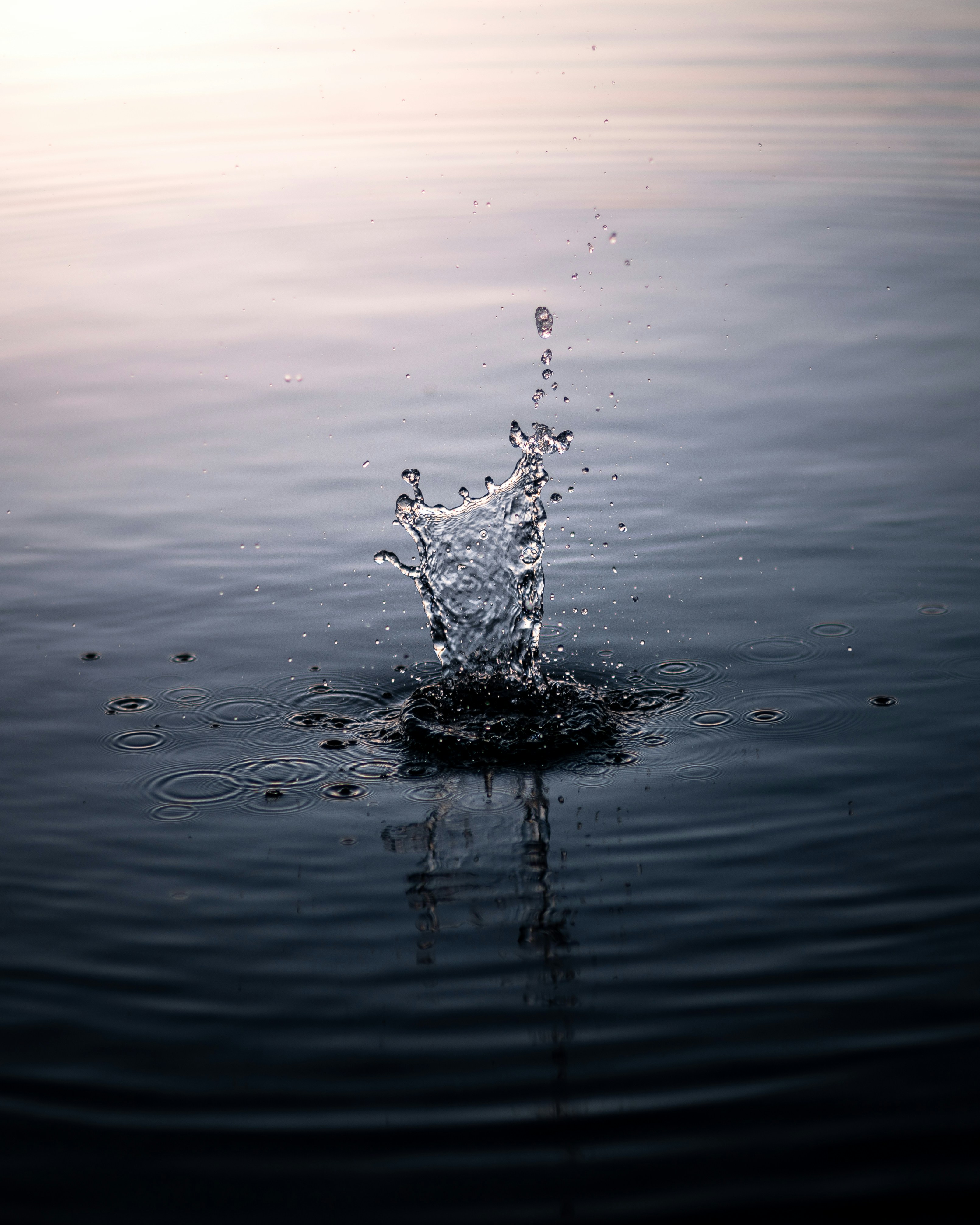 Photo by lachlangowen