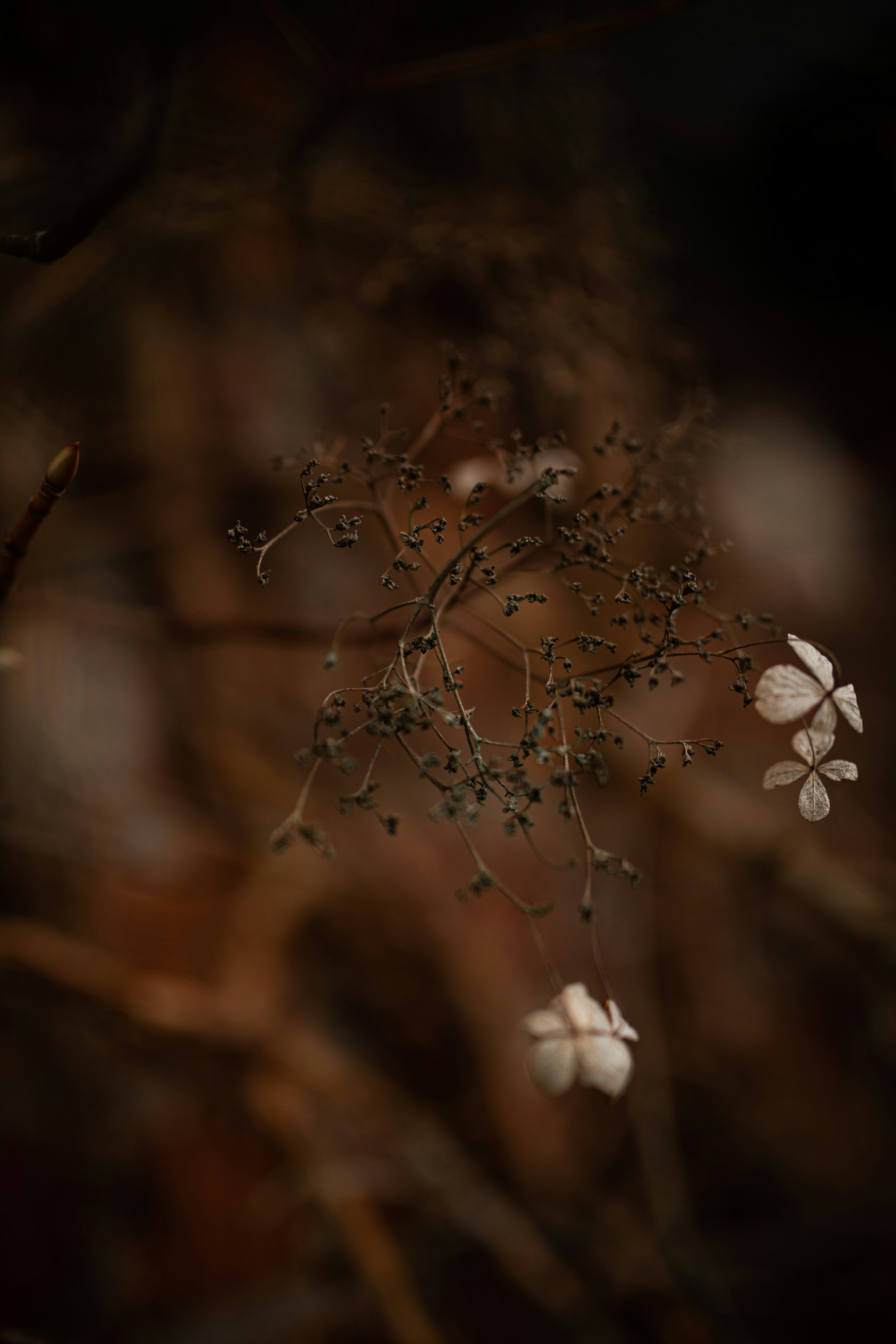 Photo by kajareichardtphotos