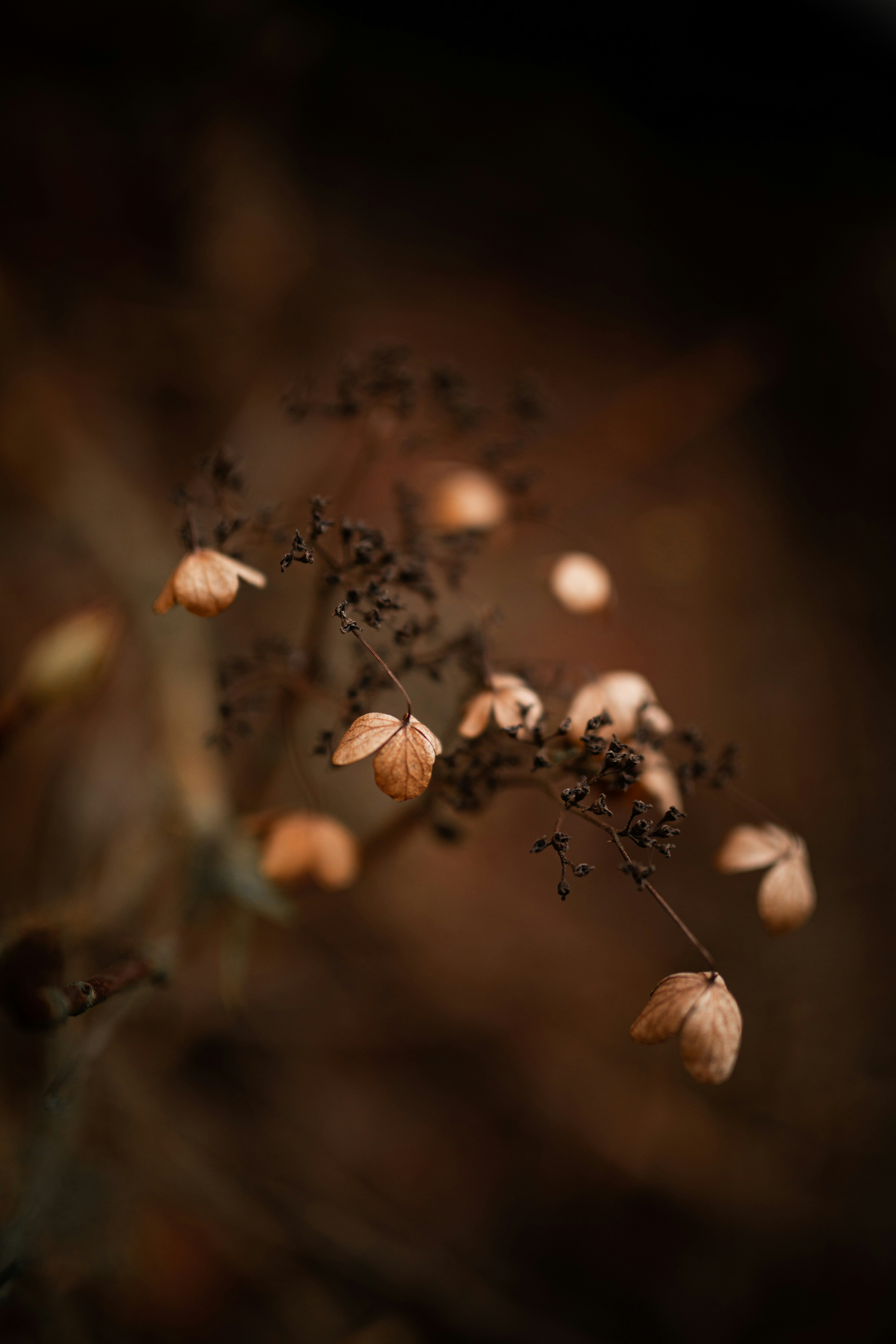 Photo by kajareichardtphotos