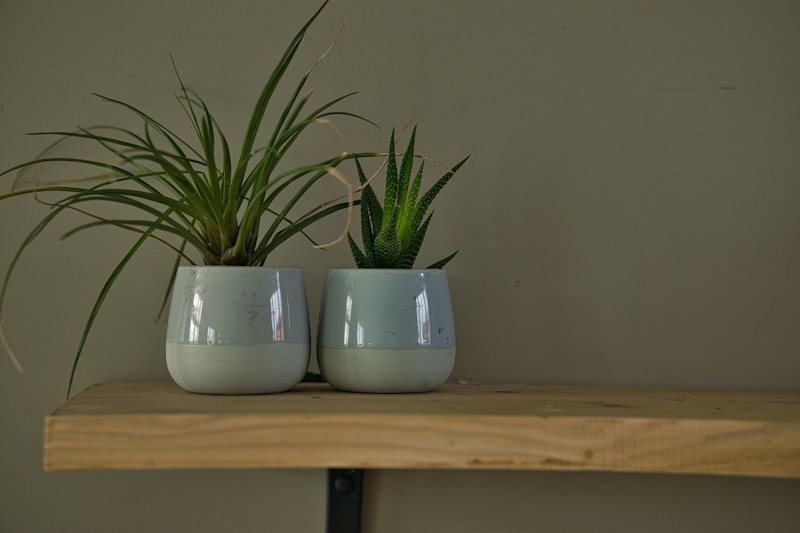 Planters