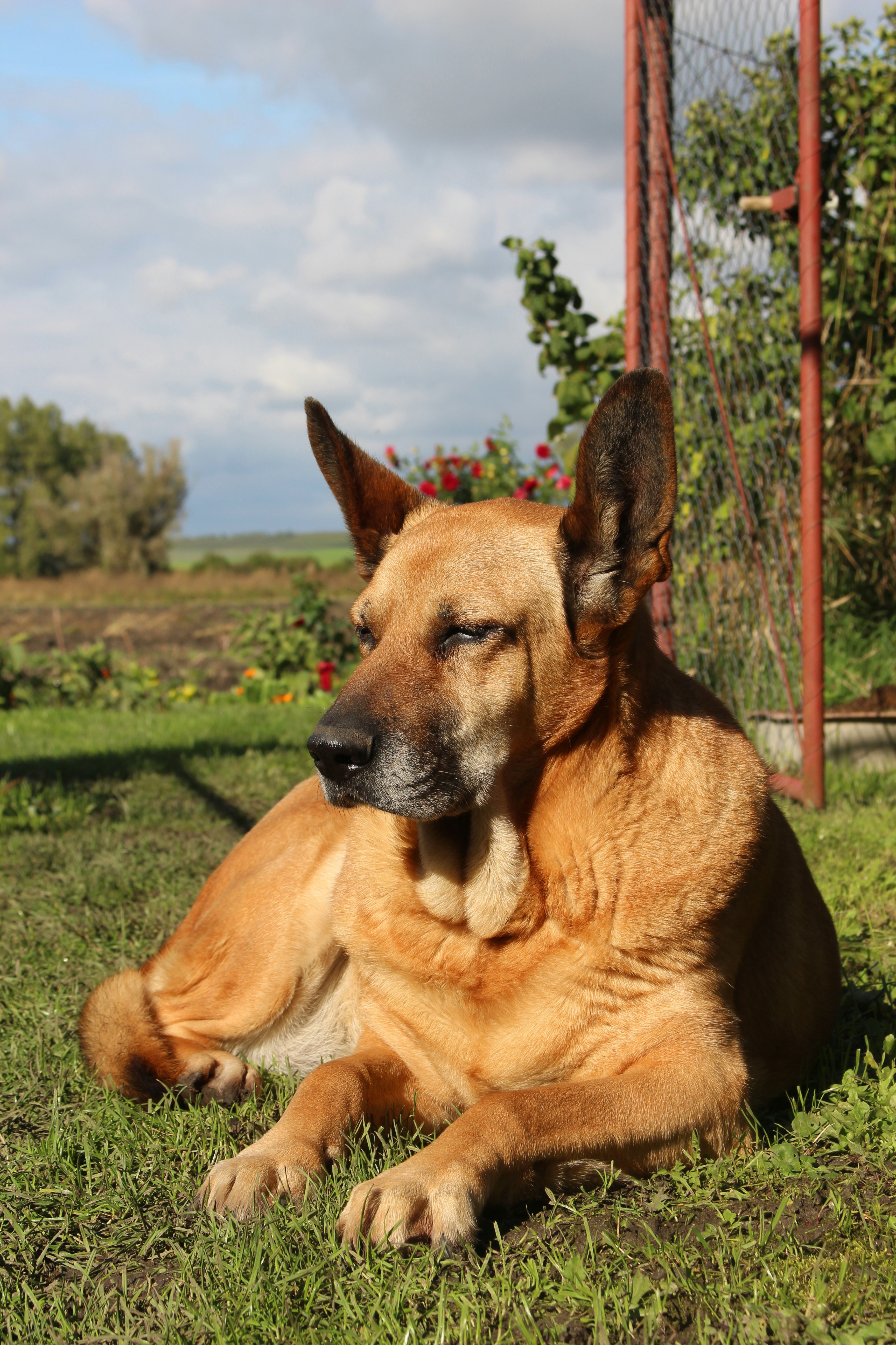 Photo by marjorylucabaxter