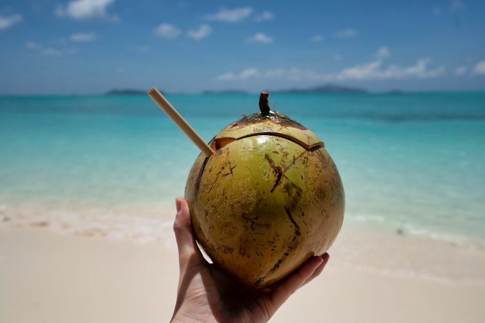Persona sosteniendo la fruta del coco durante el día