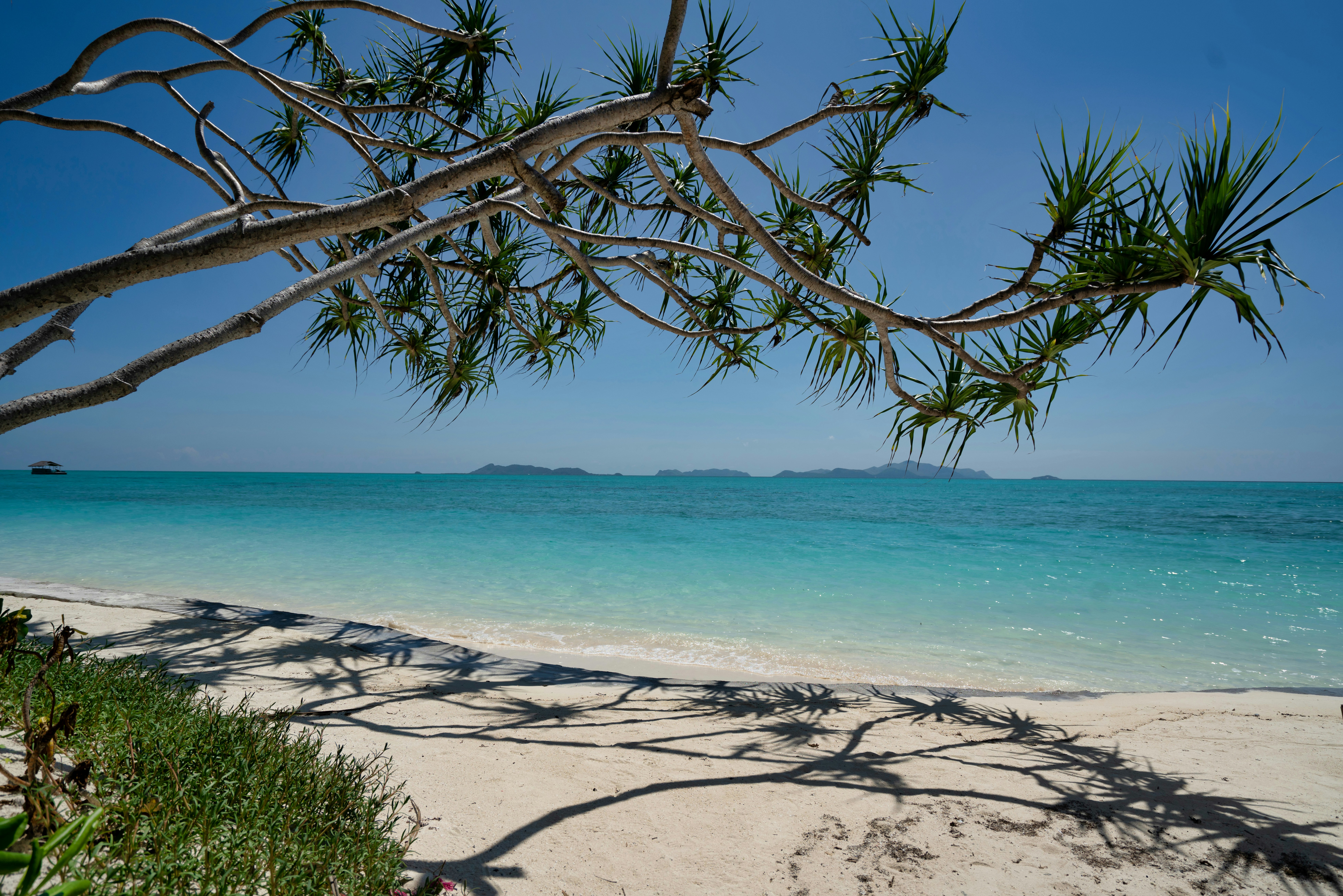 Photo by datingscout