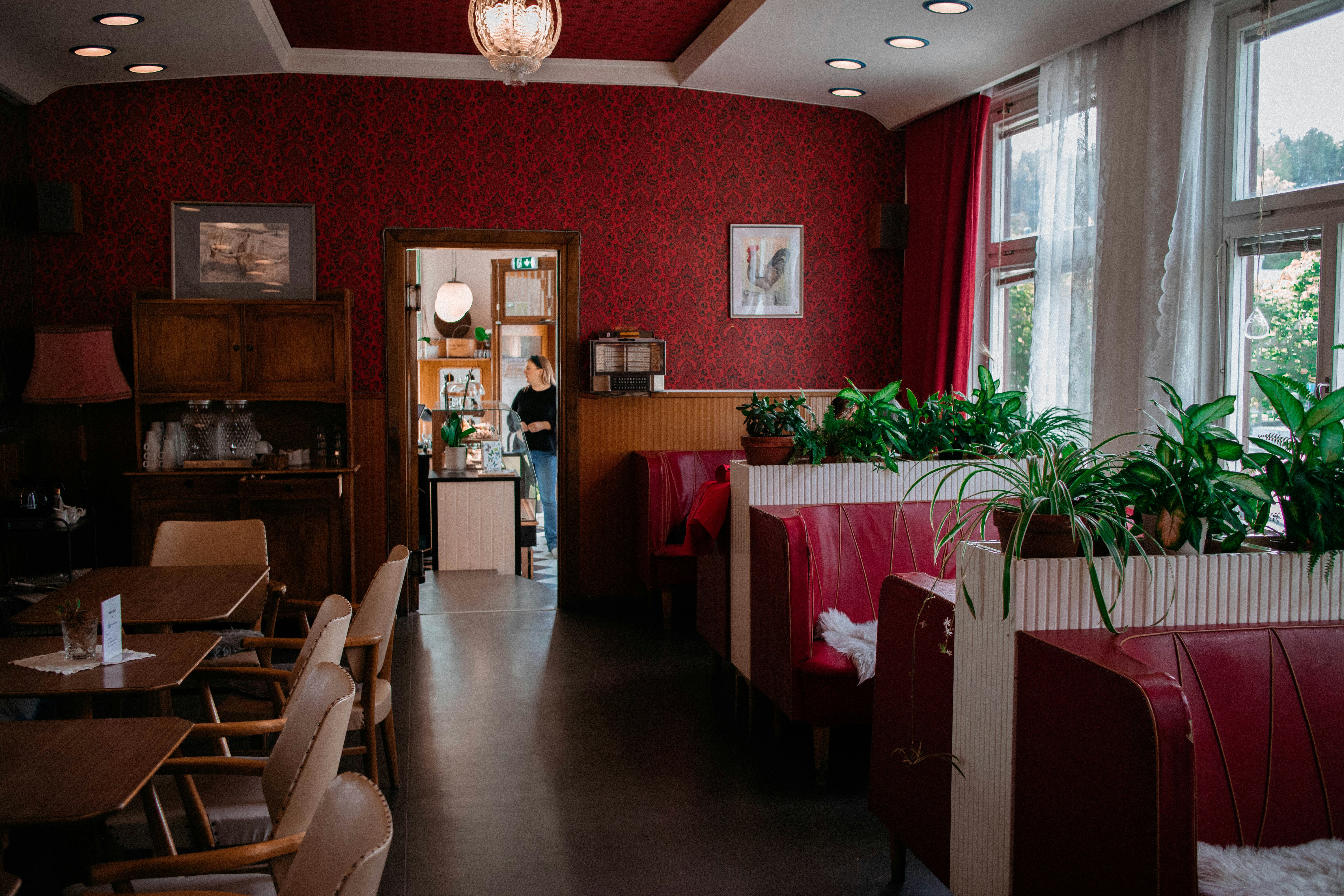 Cozy restaurant ambiance