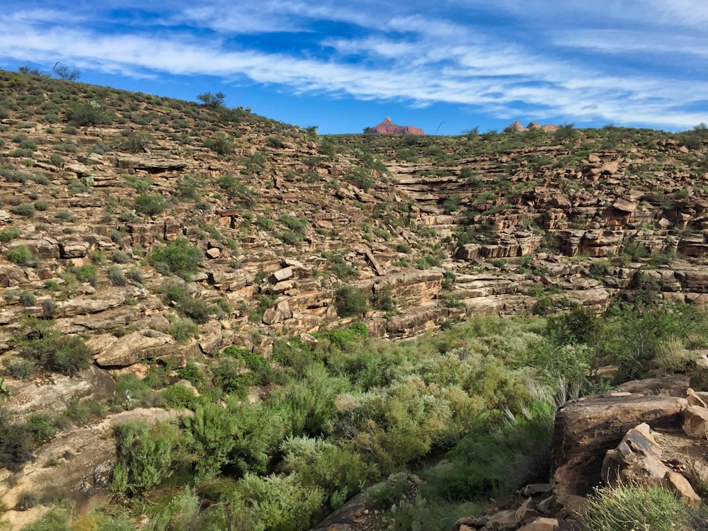 brown rocky mountain under blue sky during daytime