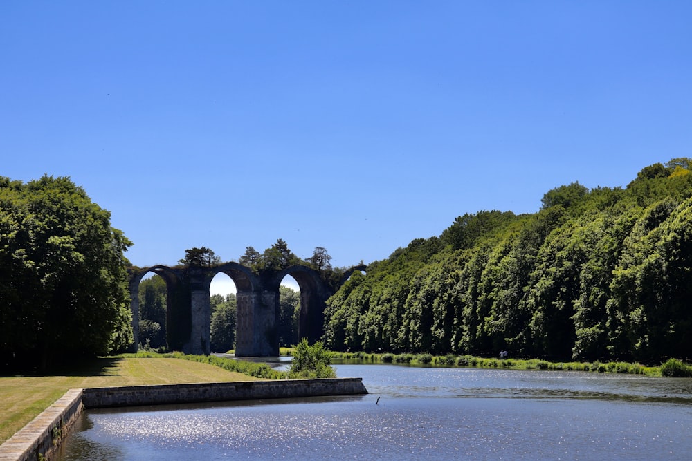 gray concrete arch near green trees under blue sky during daytime