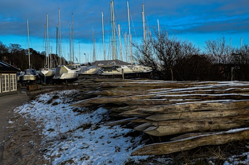 A winter scene at a marina with several boats docked and sailboats visible with their tall masts. Snow covers parts of the ground and some wooden beams in the foreground. Bare trees and shrubbery are scattered around, and a building with large windows is situated on the left side.