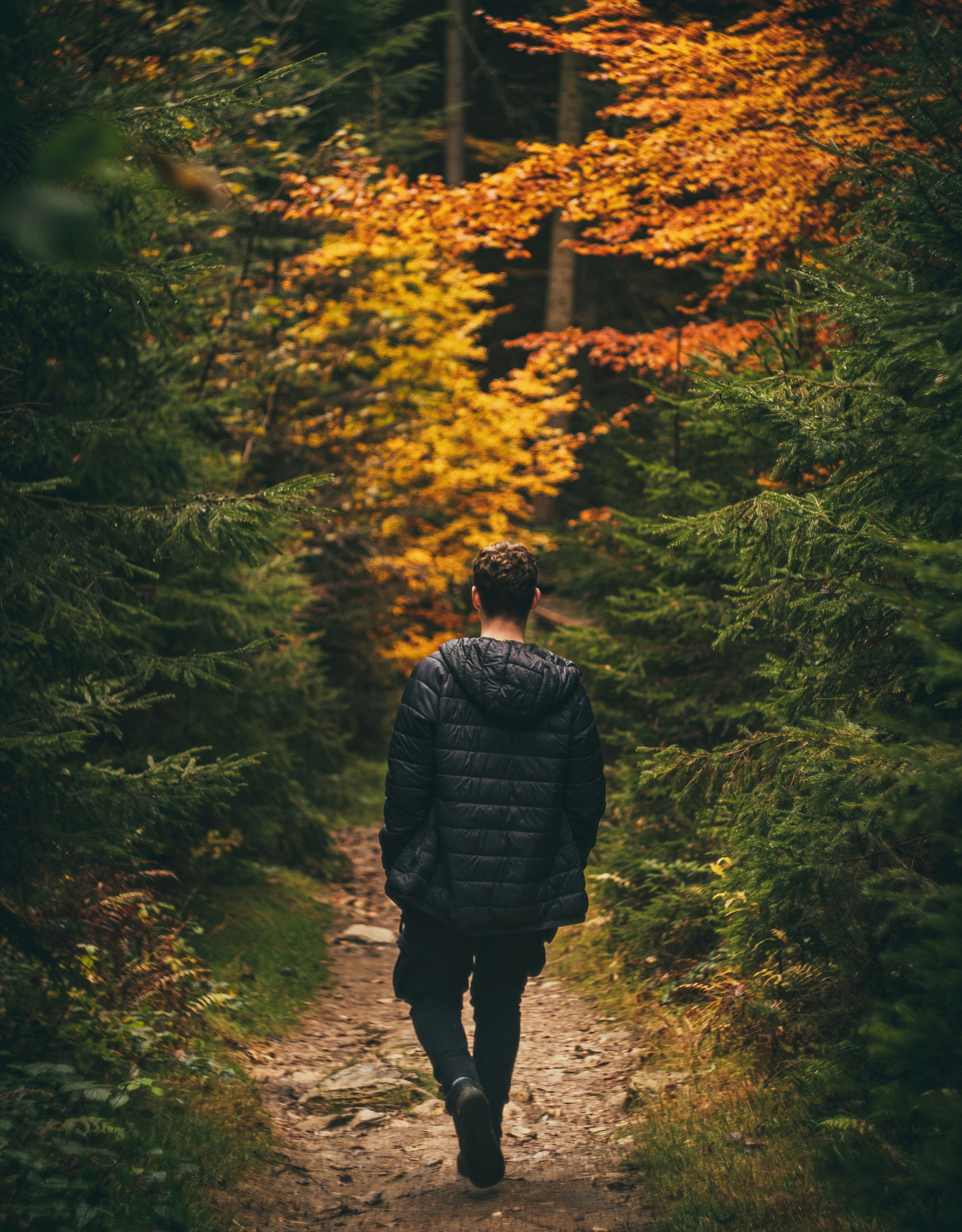 man in black jacket standing in forest during daytime