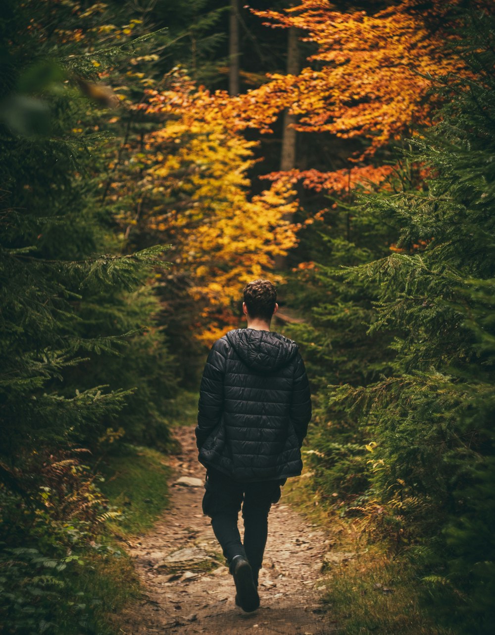 man in black jacket standing in forest during daytime