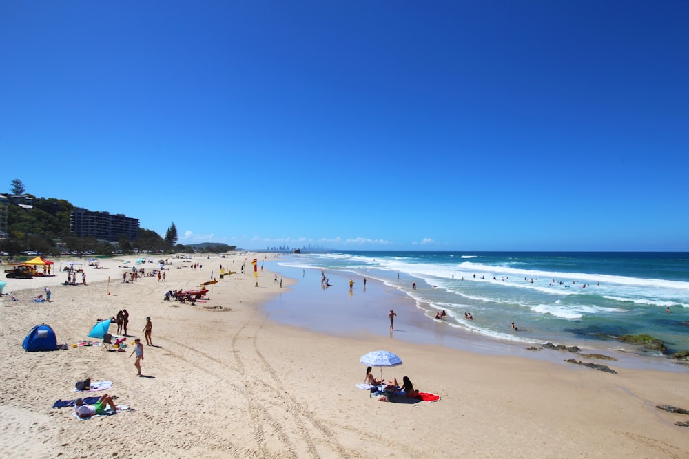 people on beach during daytime