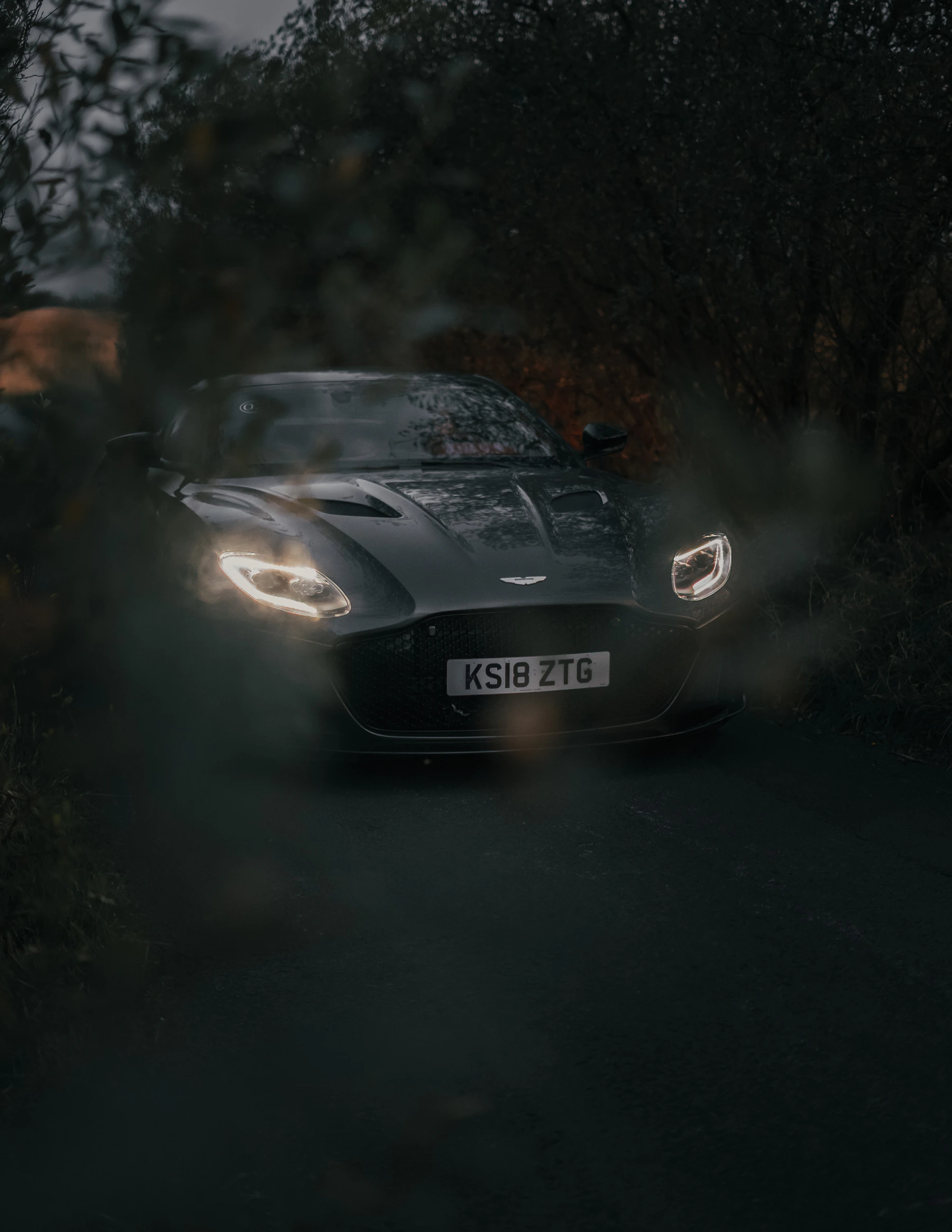 Dark Aston Martin with a beautifully reflective finish