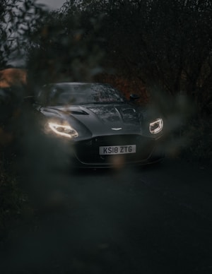 A sleek, black sports car with illuminated headlights is partially obscured by foliage, suggesting a setting that is both mysterious and serene. The vehicle's design is modern and powerful, and the dim lighting creates an atmospheric mood.