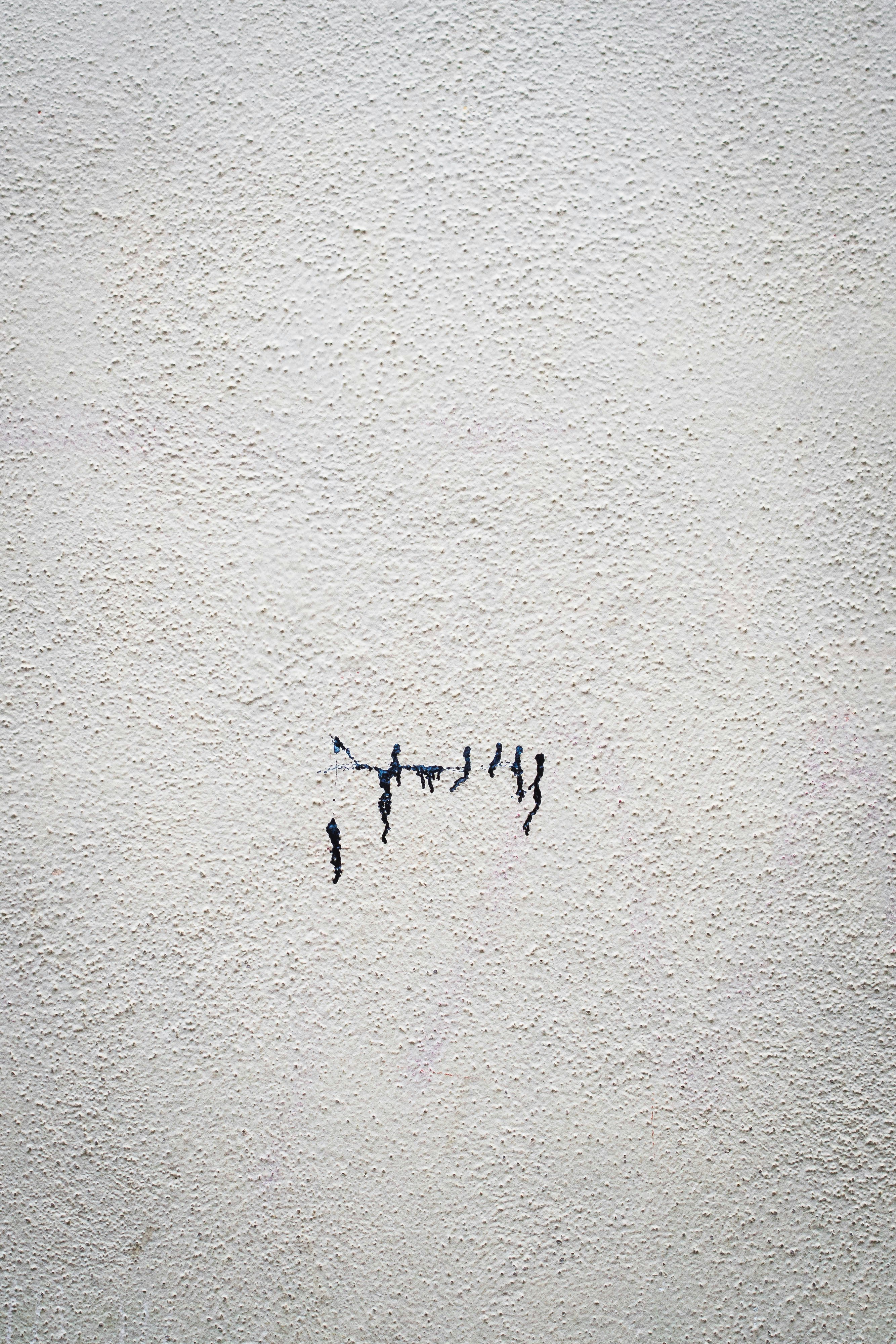 Photo by sirisvisual