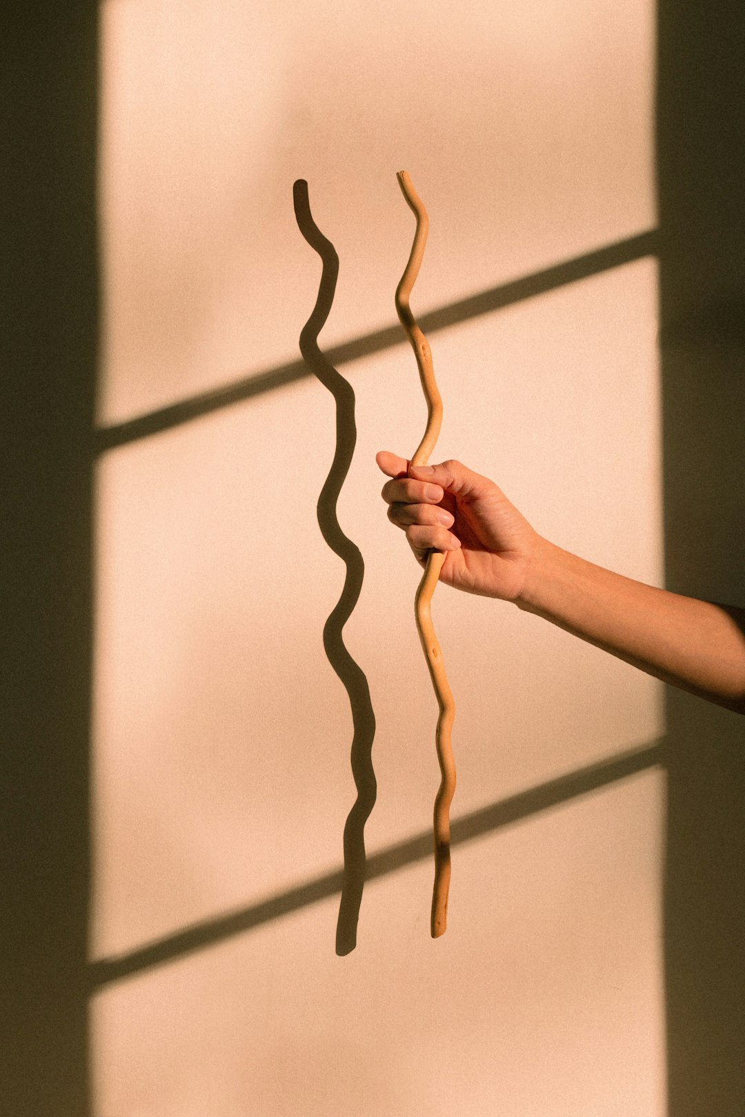 person holding brown rope in front of white wall