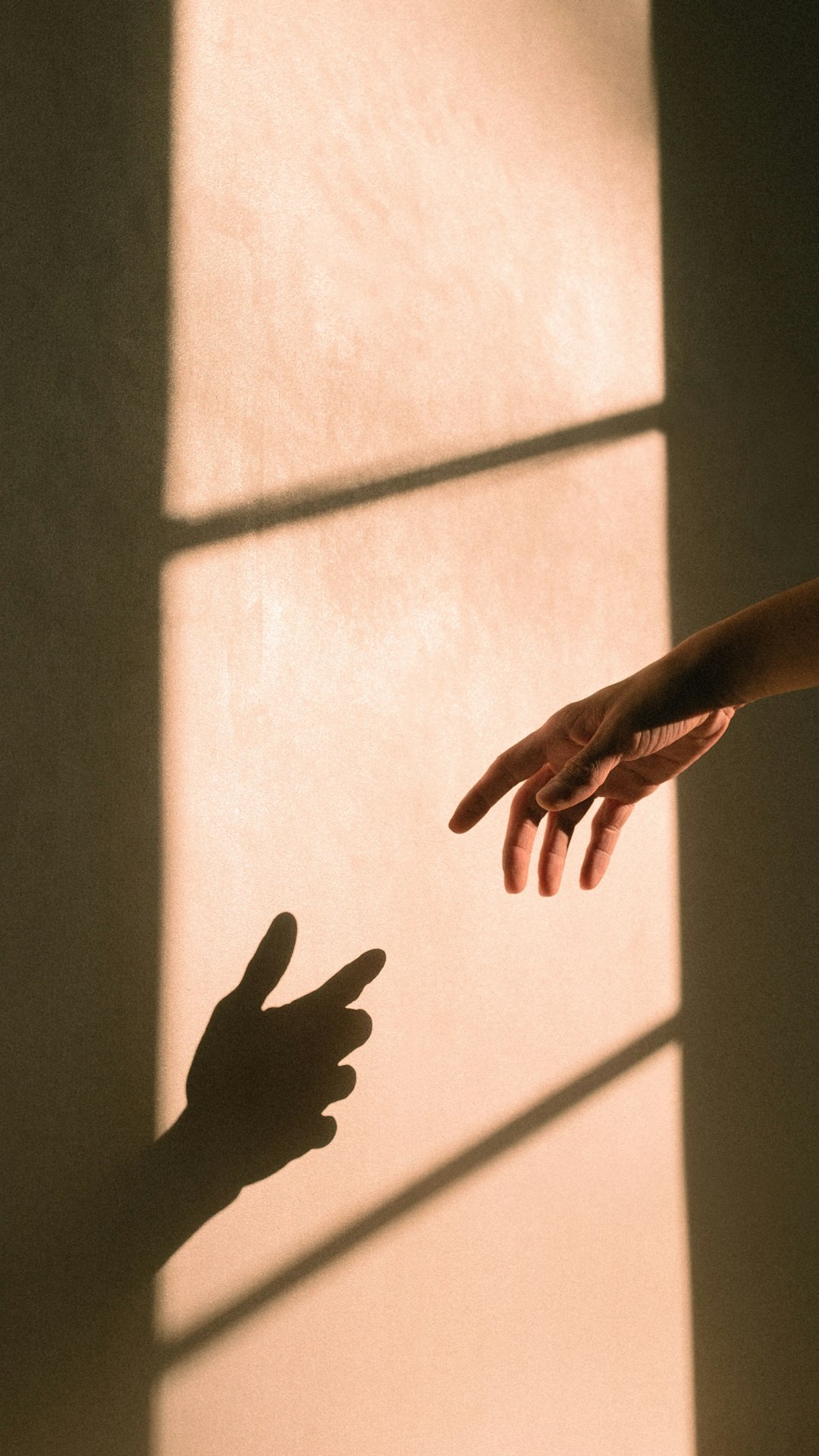 persons hand on white wall