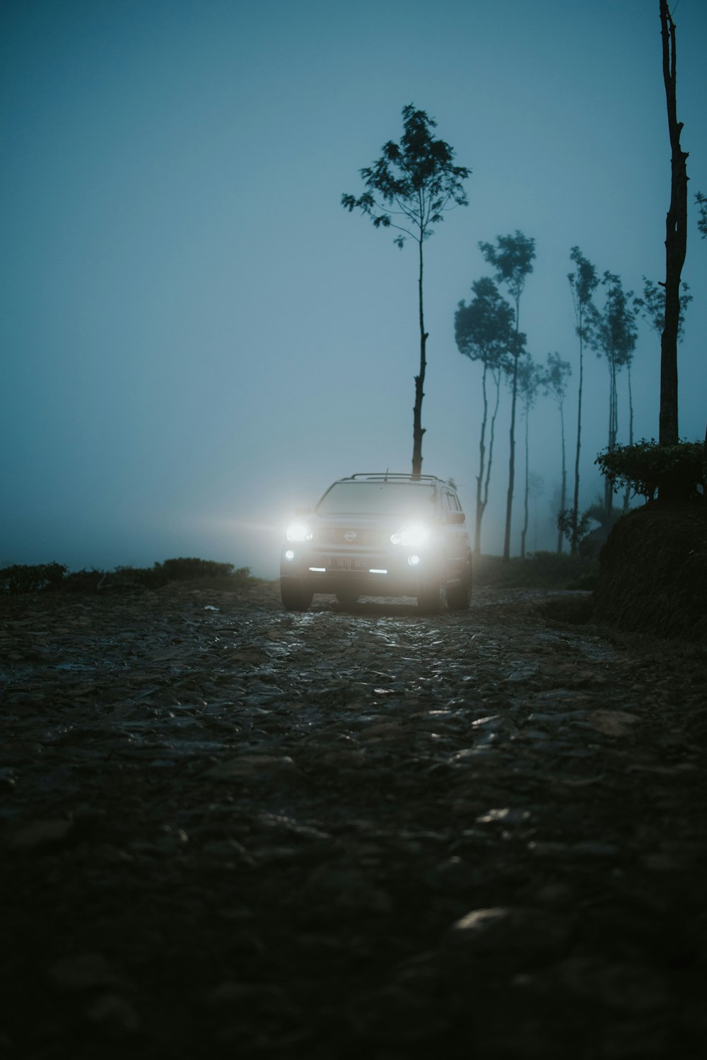 white car on gray asphalt road during daytime