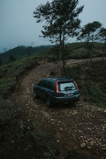 A rugged black SUV on a forest trail near Victoria, surrounded by tall trees