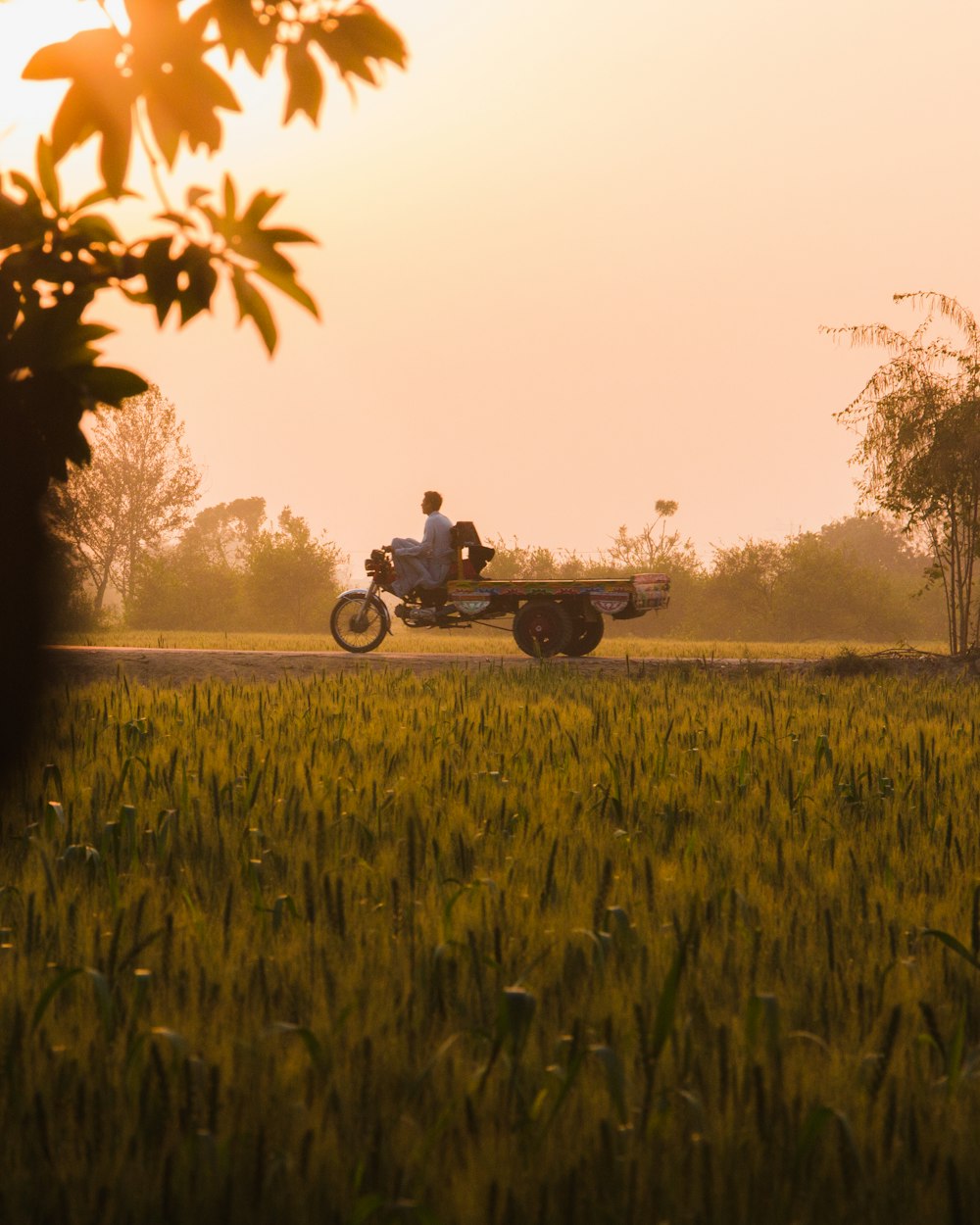 uomo che guida la motocicletta sul campo di erba verde durante il giorno