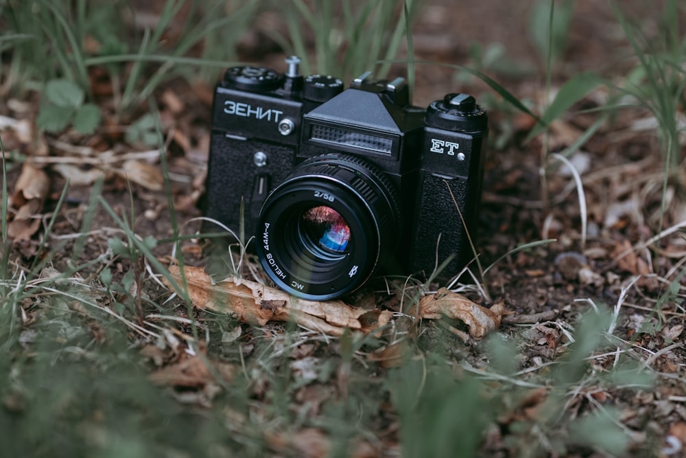 Schwarze Nikon DSLR-Kamera auf getrockneten Blättern