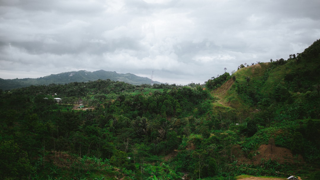 photo of Bogor Forest near Taman Nasional Gunung Gede Pangrango