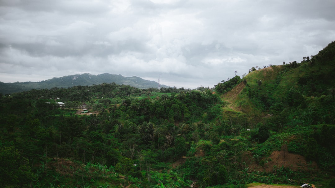 photo of Bogor Forest near Mount Gede-Pangrango National Park