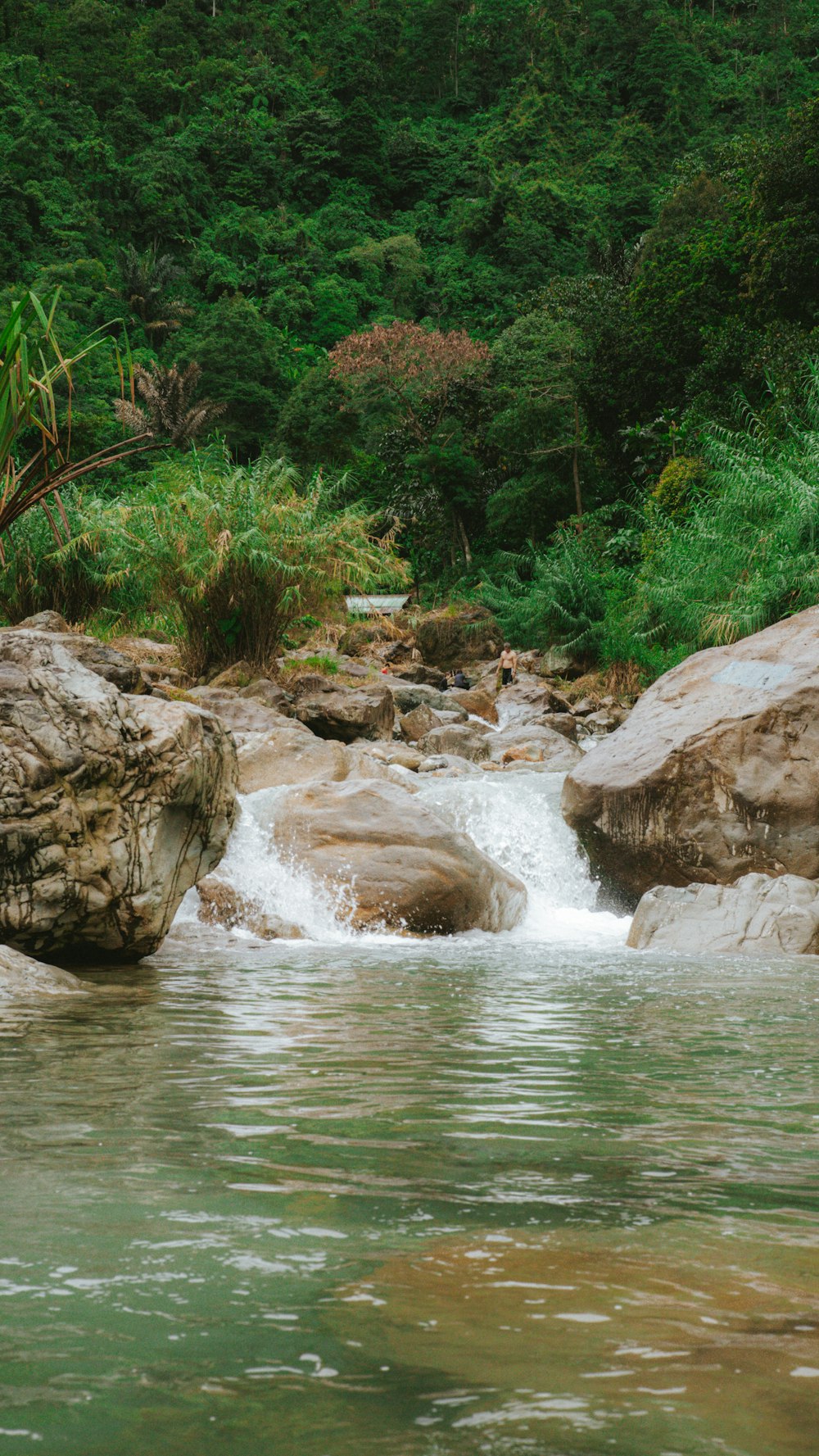 roches brunes sur la rivière pendant la journée