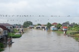 A river flows through a rural area with houses built on stilts on both sides. Birds are perched on power lines that stretch across the river, and there is lush vegetation surrounding the small homes. The sky is overcast, indicating a calm and quiet atmosphere.