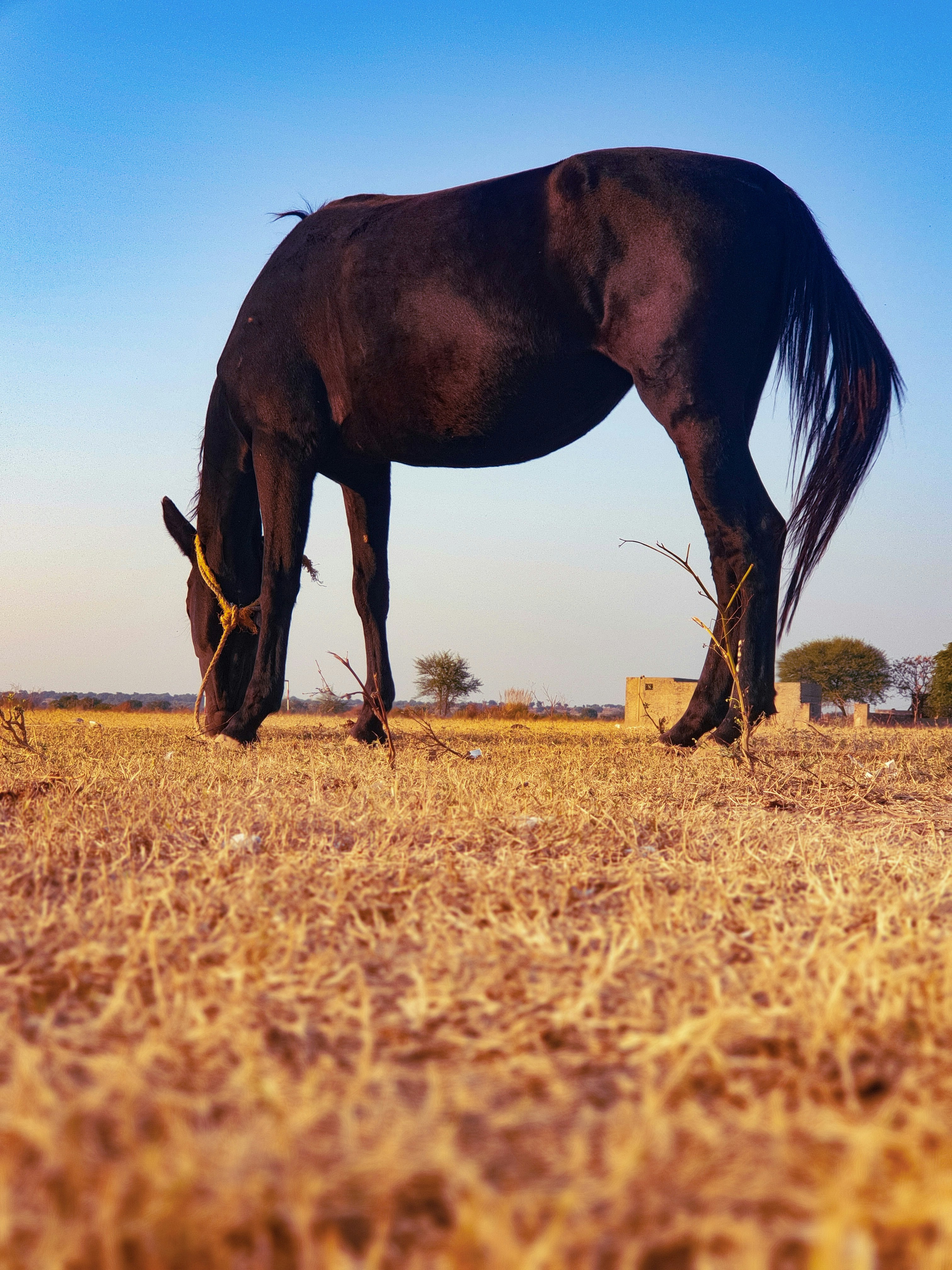 Photo by iamhassan14