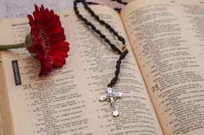 A close-up of an open Bible with a rosary resting gently on its pages.