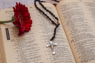 A close-up of a rosary resting on an open Bible.