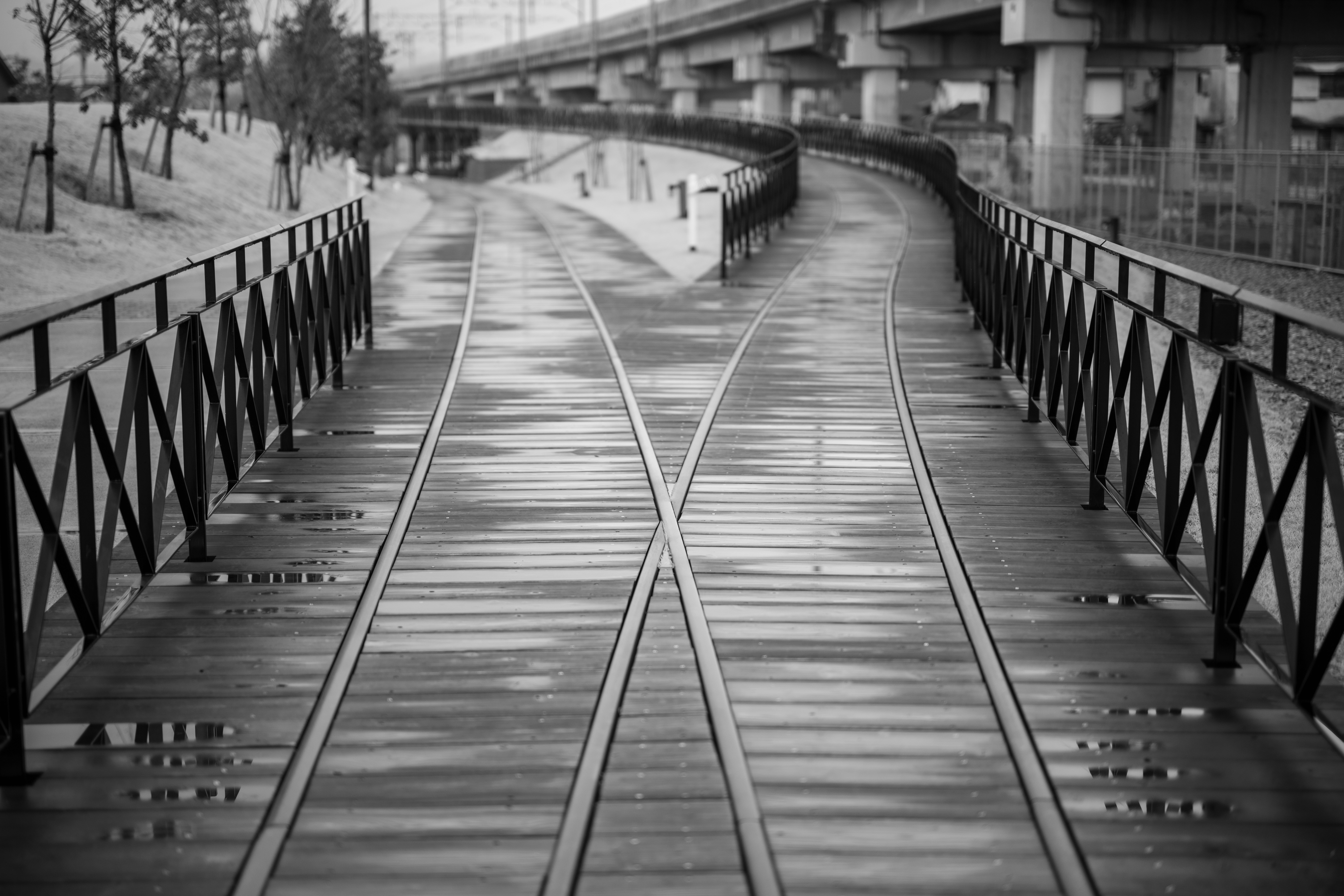 Photo by pafuxu