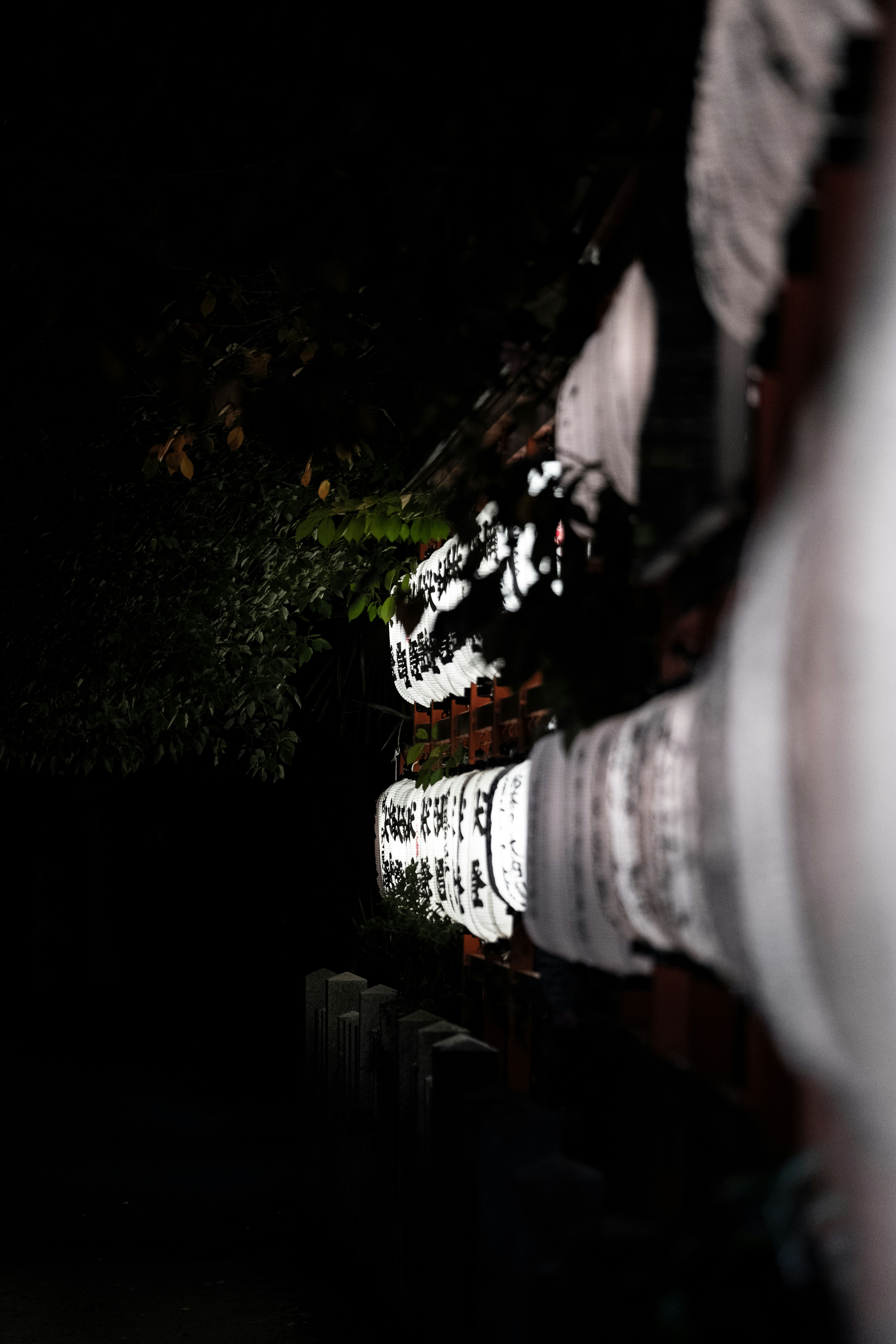 Photo by bubgraphics