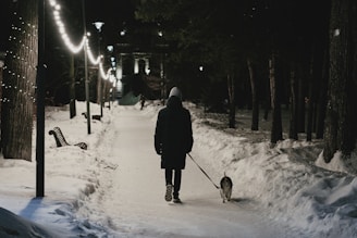 A person dressed in winter clothing is walking a dog along a snow-covered path at night. The path is lined with benches and lit by string lights hanging between trees on the left side, while tall trees and snowbanks border the path on both sides.