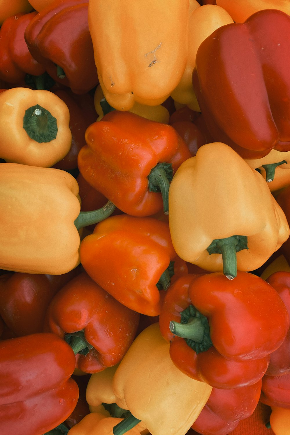 yellow red and orange bell peppers