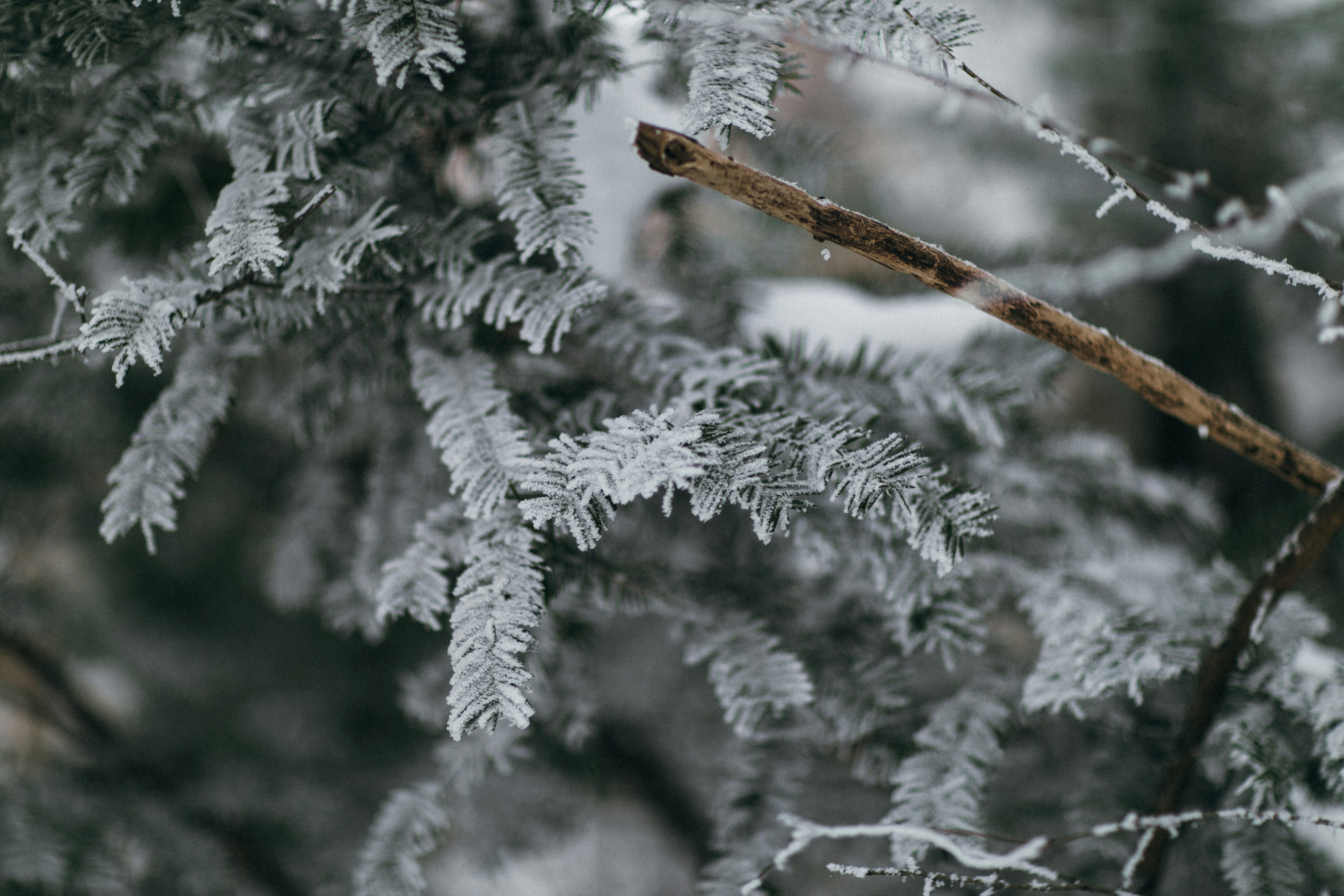 Photo by maddyhuntphoto