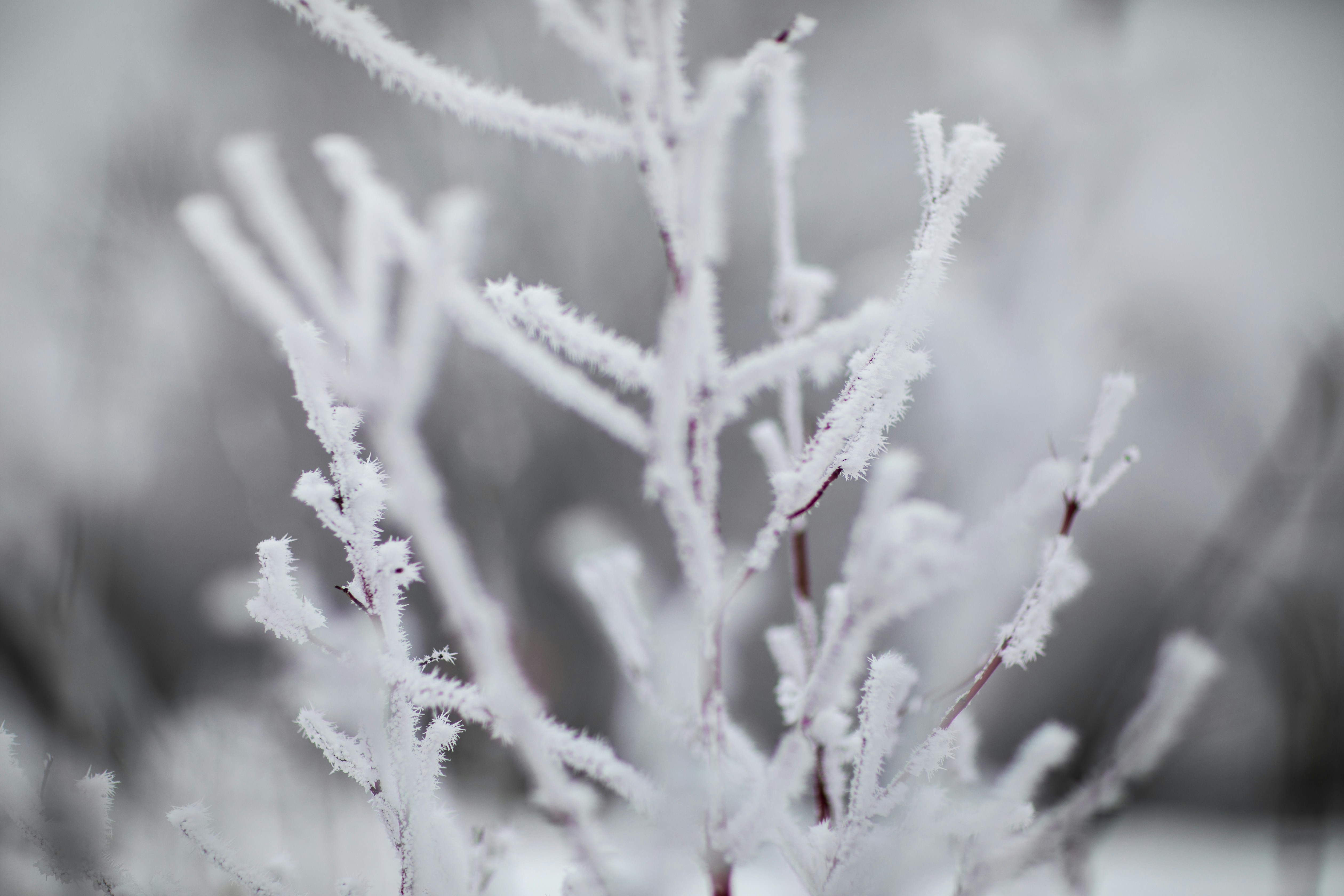 Photo by maddyhuntphoto