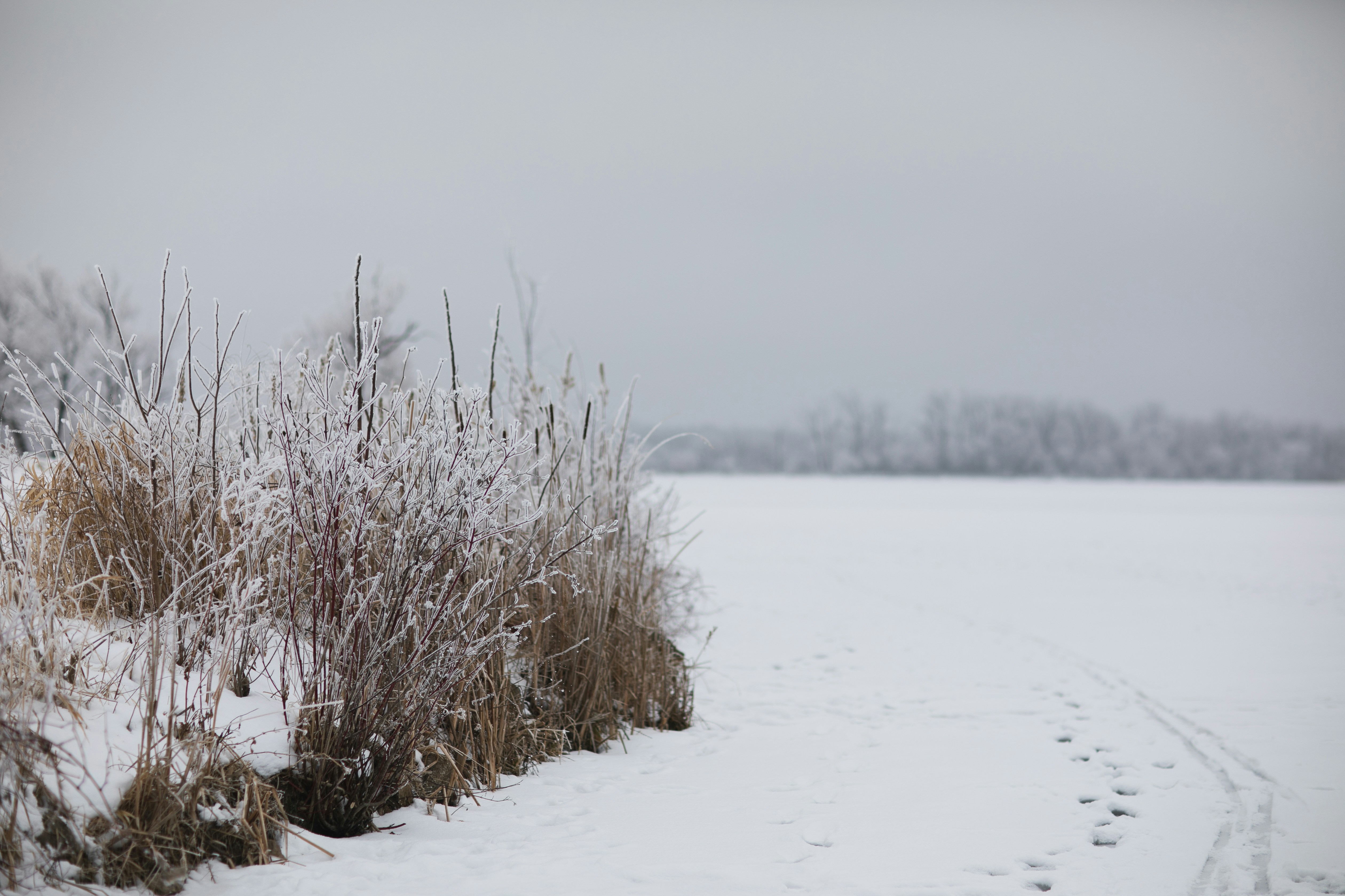 Photo by maddyhuntphoto