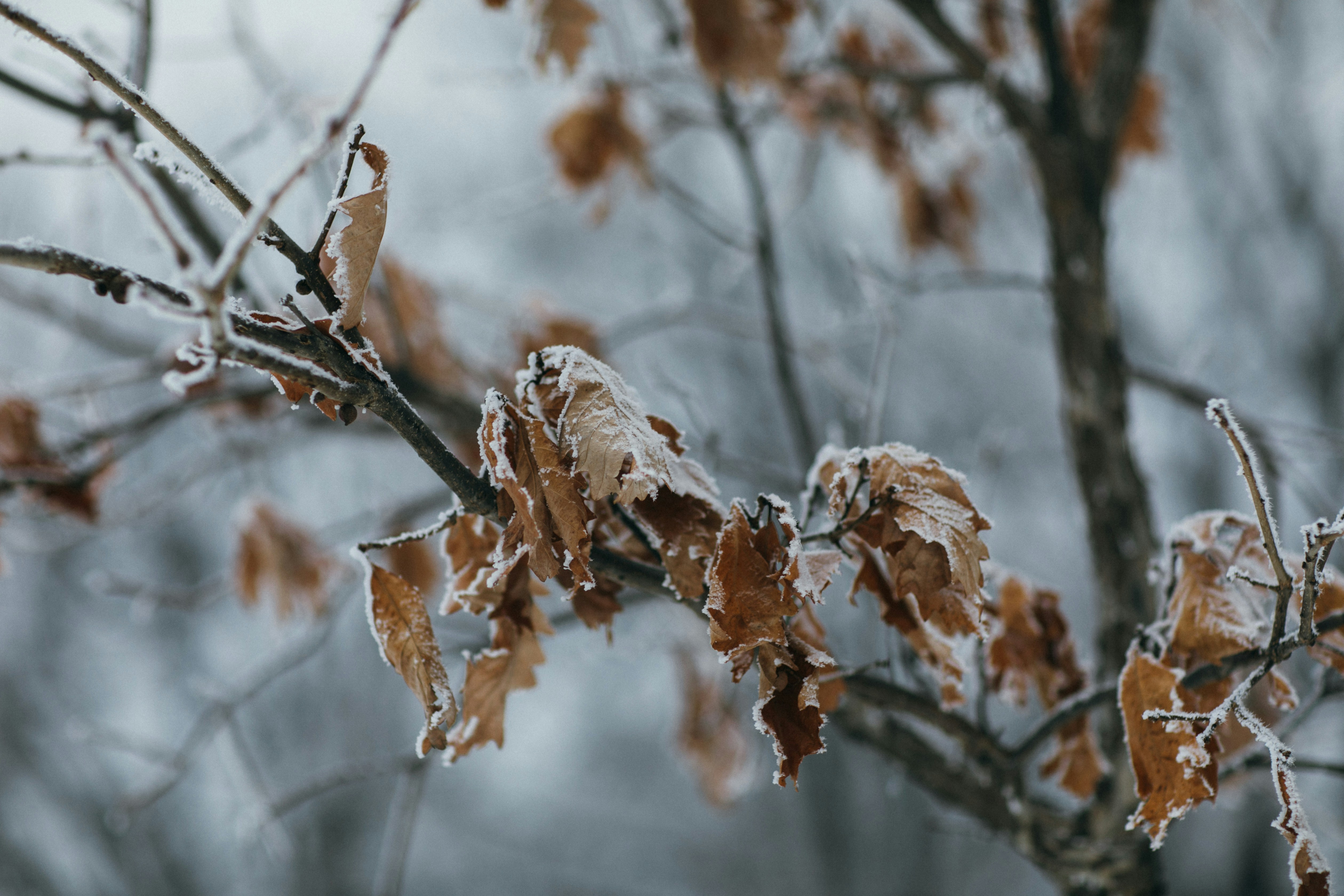 Photo by maddyhuntphoto