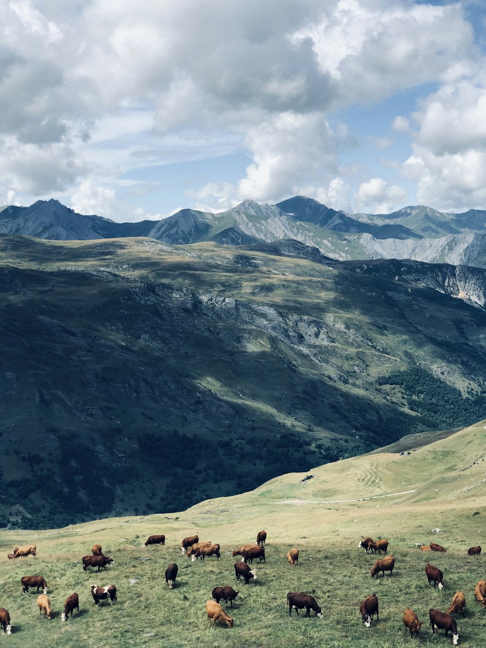 montañas verdes y blancas bajo nubes blancas durante el día