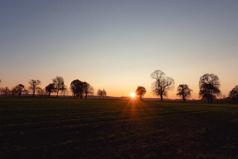 the sun is setting over a field of grass