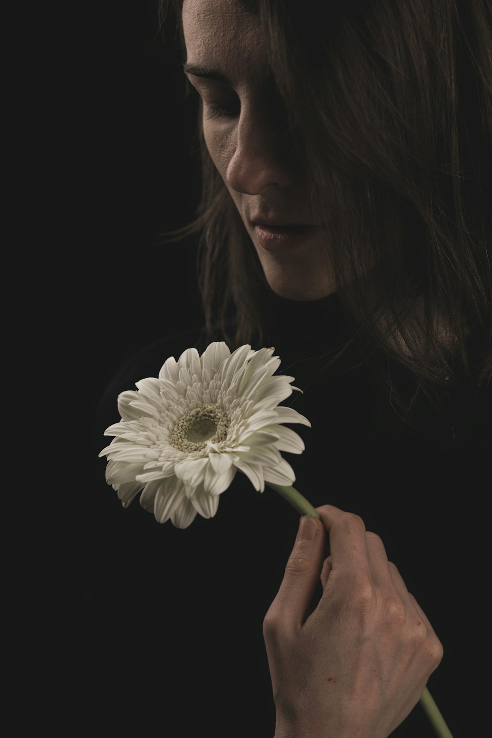 woman holding white daisy flower
