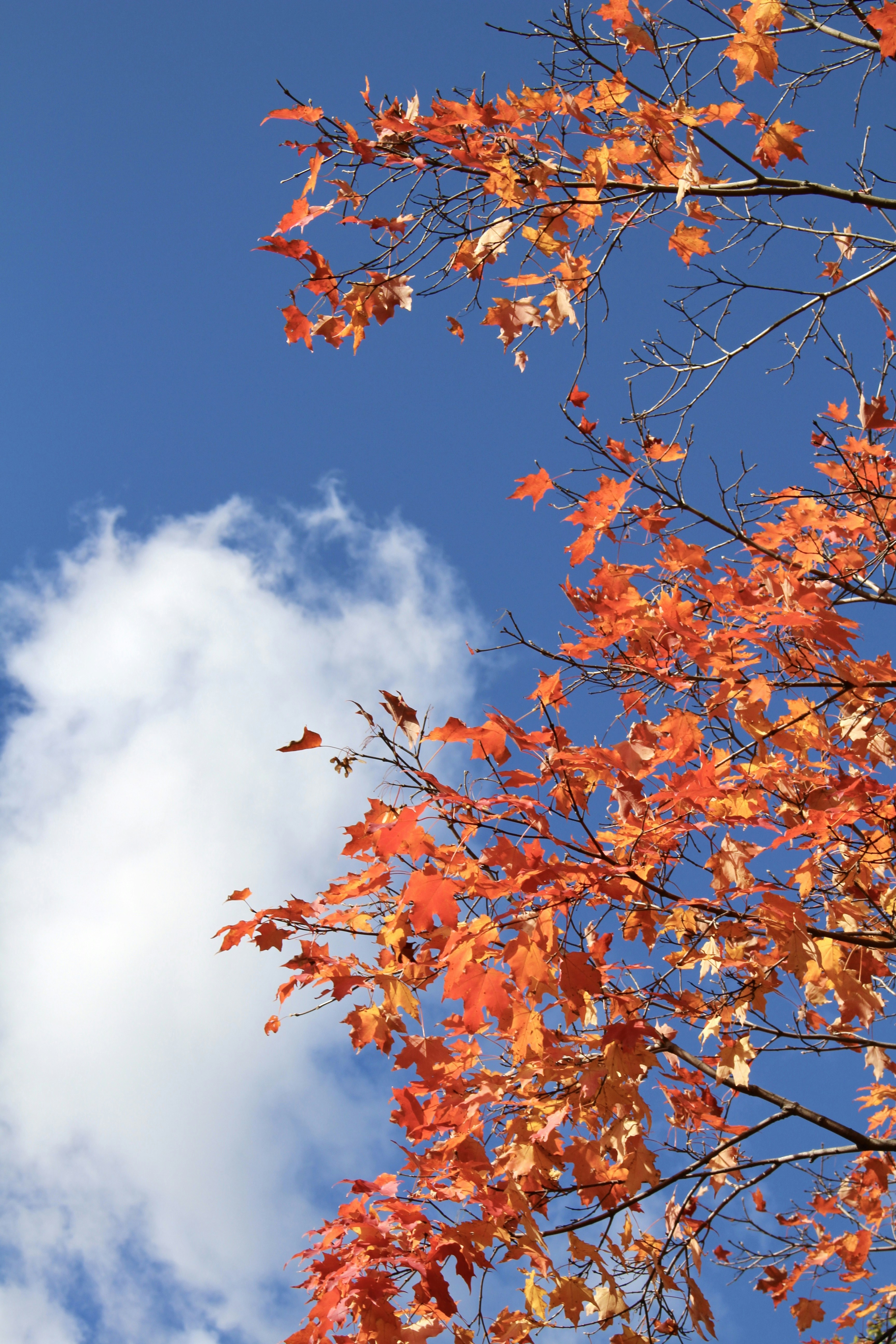 Photo by aarongriffith