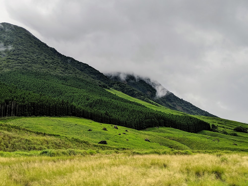 green grass field near mountain under white clouds during daytime