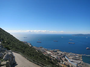 A panoramic view of a bustling port with cargo ships being loaded under a clear blue sky.