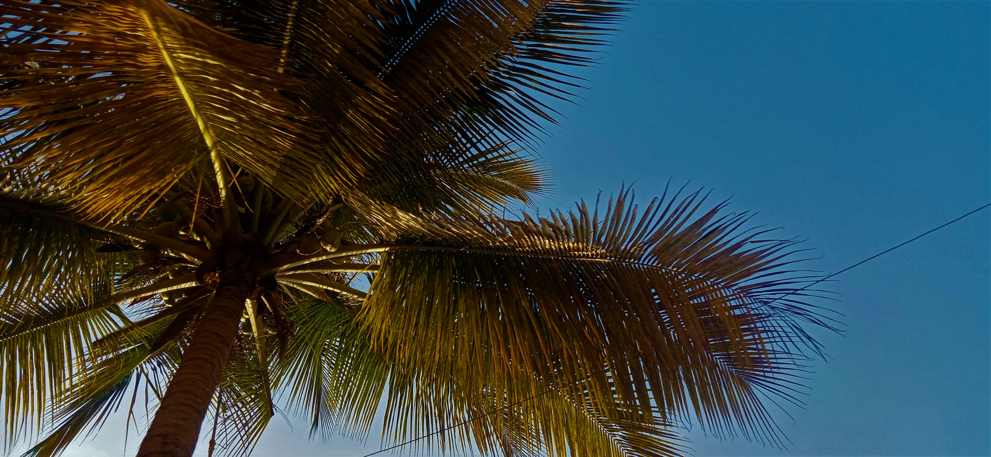 Photo by abigailvijetha