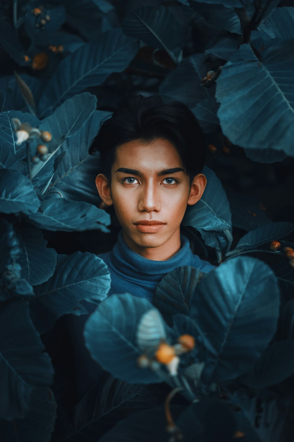 boy in blue crew neck shirt standing beside green leaves