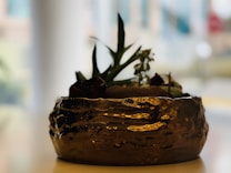 A blurred background highlights a golden, textured bowl with a glossy finish. Inside the bowl, there are succulents or small leafy plants arranged artfully. The image conveys a sense of elegance and simplicity.