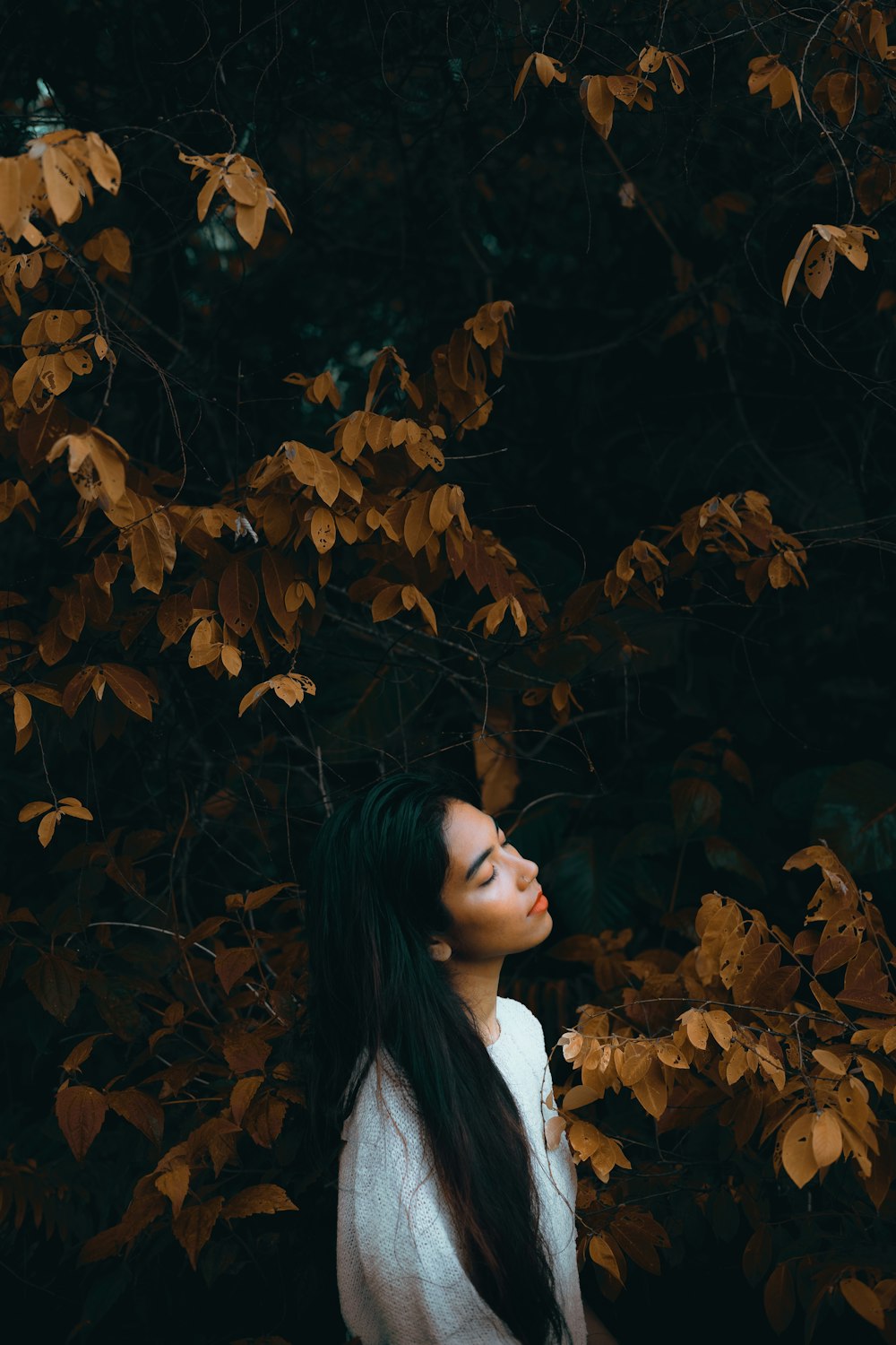 woman in white shirt standing beside brown leaves
