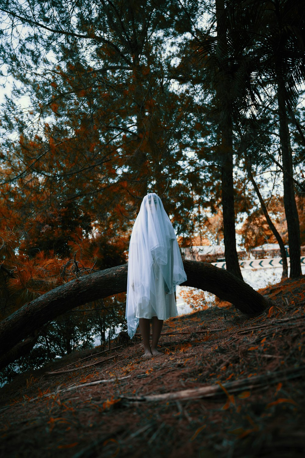 낮 동안 갈색 나무 줄기에 서 있는 하얀 드레스를 입은 여자
